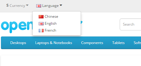 multi language frontend